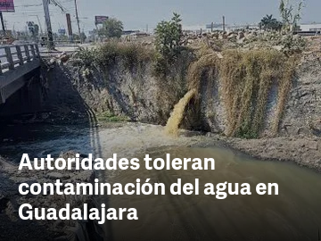 Capturan en Guadalajara a presunto líder de red internacional de trata de personas