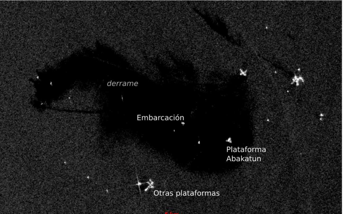ONG denuncian negligencia gubernamental en manejo de contaminación por hidrocarburos en el Golfo de México